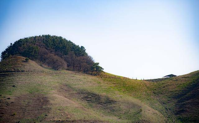 충남 서산시 용현리에서 바라본 서산한우목장의 모습.