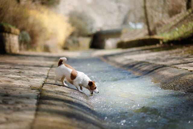 게티이미지뱅크