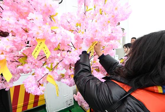 세월호 참사 11주기를 맞은 16일 오전 전남 진도군 맹골수도에서 열린 선상추모식에 앞서 0416단원고가족협의회 세월호 유족이 희생자를 기리는 노란리본을 달고 있다. 뉴시스