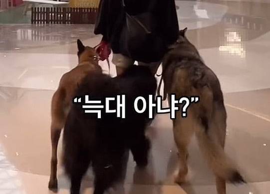 사진=온라인커뮤니티