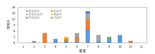 2024년 국내 월별 상어 출몰 현황.