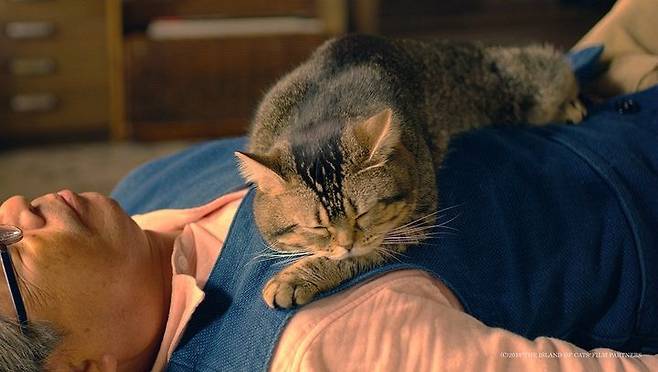 [울산=뉴시스] 영화 '고양이와 할아버지' 스틸컷. (사진=뉴시스 DB). photo@newsis.com *재판매 및 DB 금지