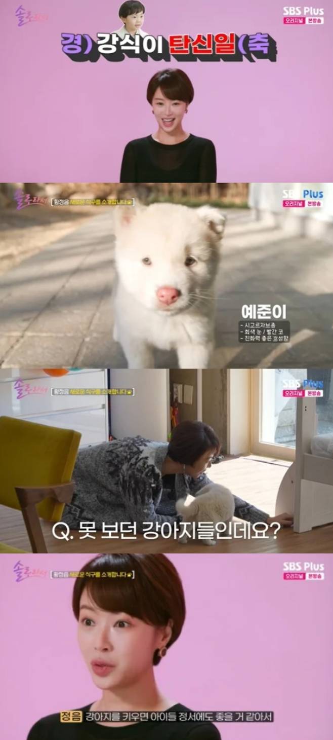 황정음이 강아지 입양 이유를 밝혔다. SBS Plus '솔로라서' 방송화면 캡처.