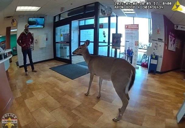 페이스북 갈무리 @Louisville Metro Police Department