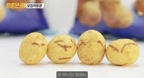 오징어 땅콩 무늬의 정체.jpg 오징어 땅콩 무늬의 정체.jpg