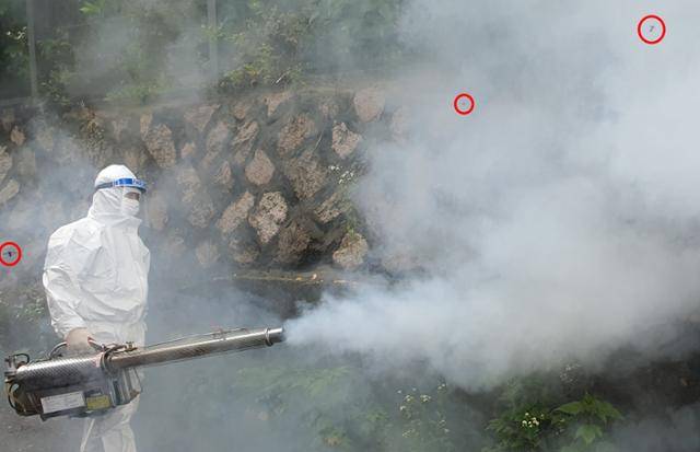 2023년 6월 서울 은평구 한 주택가에서 구청 방역 담당자가 연무기로 살충제를 뿌리고 있다. 붉은색 원 안에 날아다니는 러브버그들이 보인다. 한국일보 자료사진 2023년 6월 서울 은평구 한 주택가에서 구청 방역 담당자가 연무기로 살충제를 뿌리고 있다. 붉은색 원 안에 날아다니는 러브버그들이 보인다. 한국일보 자료사진