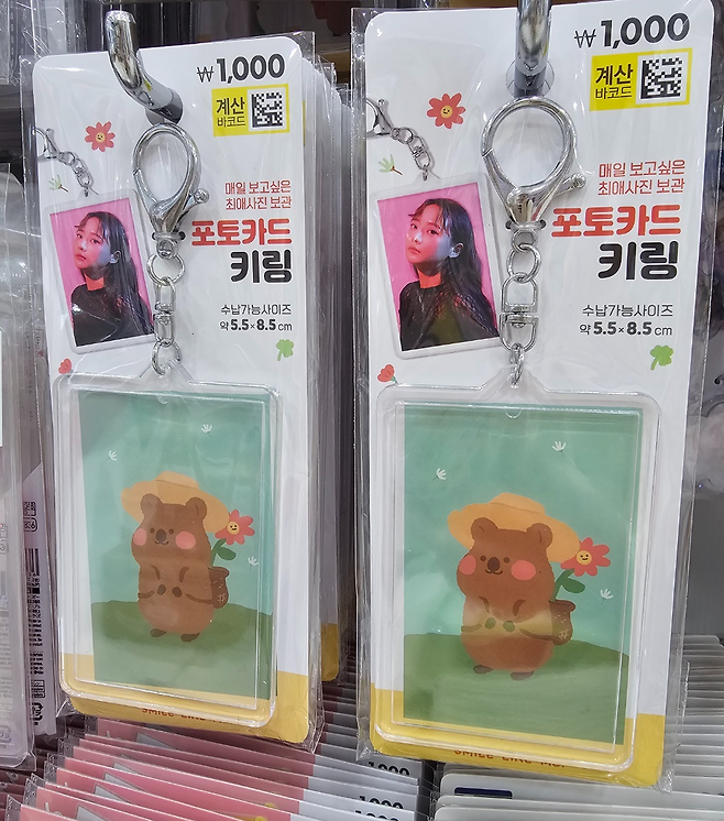 Daiso key rings to hold idol photocards (Choi Jae-hee/The Korea Herald)