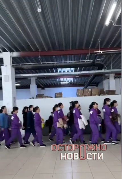 북한 노동자로 추정되는 이들이 보라색 유니폼을 입고 러시아 최대 전자상거래 업체 ‘와일드베리스’의 창고에서 이동하고 있다. 텔레그램 캡처