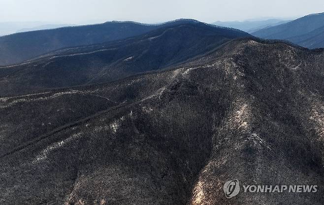 검게 그을린 야산 (의성=연합뉴스) 3월 27일 경북 의성군 점곡면 사촌리 일대 야산이 전날 번진 산불에 타 검게 그을려 있다. [연합뉴스 자료사진]