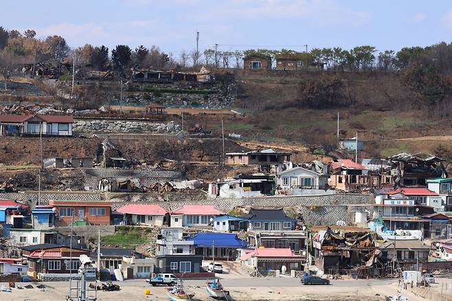 산불 피해가 난 영덕군 영덕읍 노물리 [촬영 손대성]