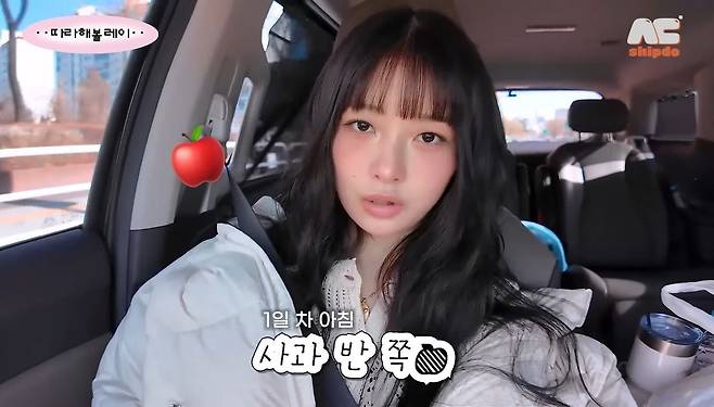 유튜브 채널 ‘따라해볼레이’ 영상 캡처