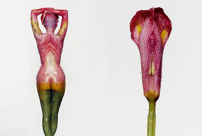 조기석의 FLOWER STUDY.