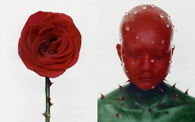 조기석의 FLOWER STUDY.