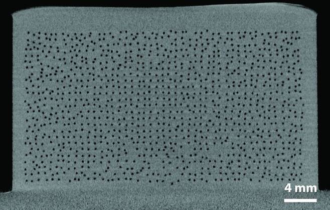 배양육 닭고기의 단면. 검은색 구멍은 중공섬유가 있던 자리다. Trends in Biotechnology(2025)