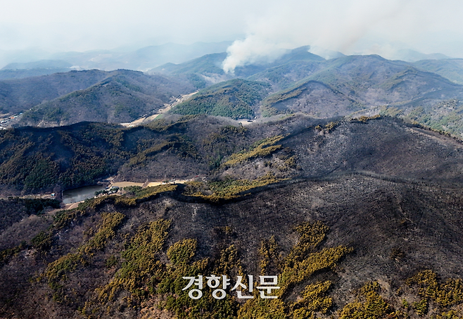 경북 의성군 괴산리에서 성묘객 실화로 발생한 산불이 할퀴고 간 상처가 발화지점 일대 야산에 검게 퍼져 있다. 문재원 기자