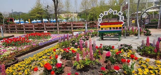 18일 의령군민공원에서 열리는 '홍의장군축제'에 튤립, 리빙스톤데이지, 루피너스, 왕벚꽃 등 봄꽃으로 새로 단장해 봄 축제 분위기를 더한다