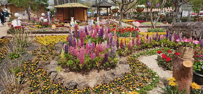 18일 의령군민공원에서 열리는 '홍의장군축제'에 튤립, 리빙스톤데이지, 루피너스, 왕벚꽃 등 봄꽃으로 새로 단장해 봄 축제 분위기를 더한다