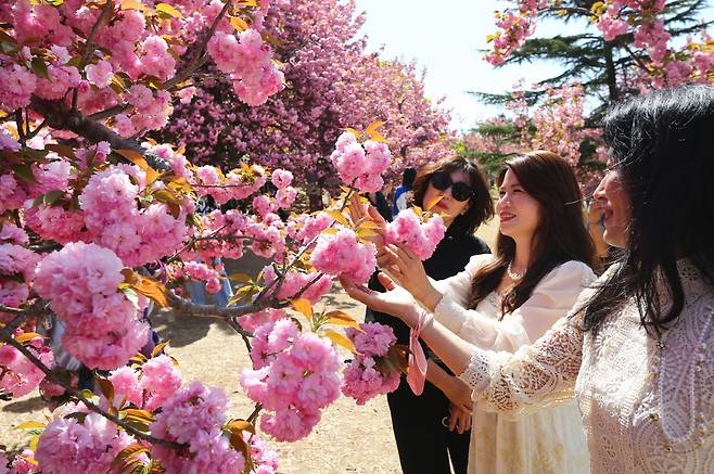 [경주시 제공]