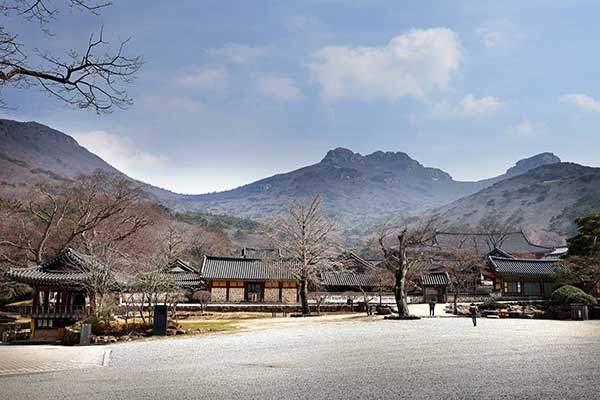 대흥사 앞마당에서 본 두륜산. 부처가 합장한 채로 누워 있는 형상이라 전한다. 오른쪽 바위봉우리인 두륜봉이 부처의 누운 옆 얼굴이다.