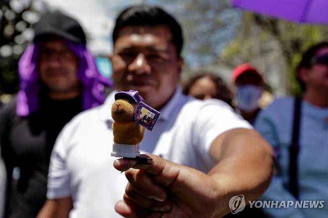 에콰도르 대통령 당선인 사진과 함께 꾸민 카피바라 인형 [키토 로이터=연합뉴스. 재판매 및 DB 금지]