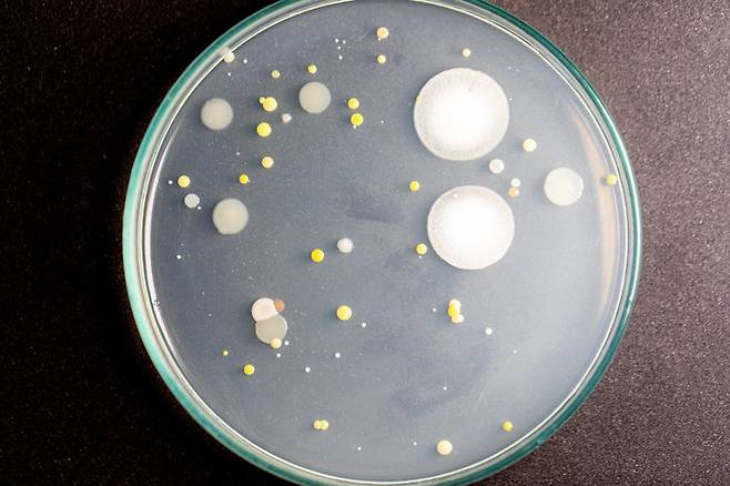 게티이미지뱅크.