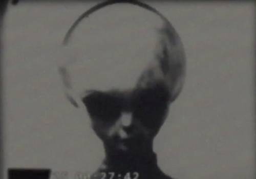 외계인 이미지 / 유튜브 @ivan0135 영상 캡처