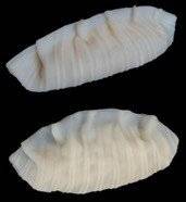 CJ제일제당, 미국서 비비고만두 디자인특허. /사진=연합뉴스