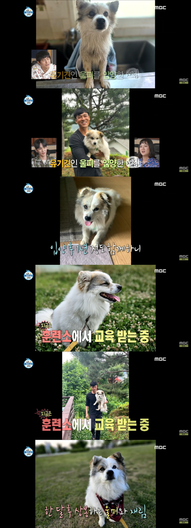 MBC '나 혼자 산다'에 출연한 뮤지컬 배우 최재림이 자신의 반려견 '울피'를 입양한 사연을 소개하고 있다. MBC '나 혼자 산다' 캡처