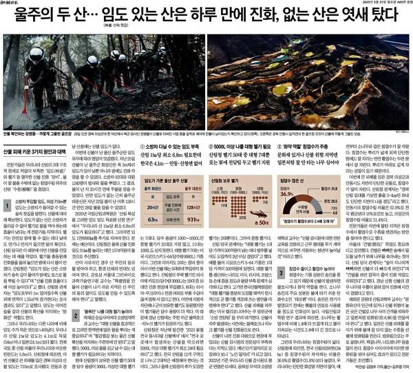▲지난달 31일 조선일보 5면 갈무리