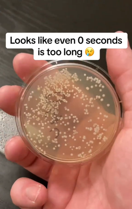 ‘5초 법칙’을 확인한 실험에서 떨어진 지 0초 지난 후의 세균 증식 상태. [howdirtyis 틱톡 캡처]