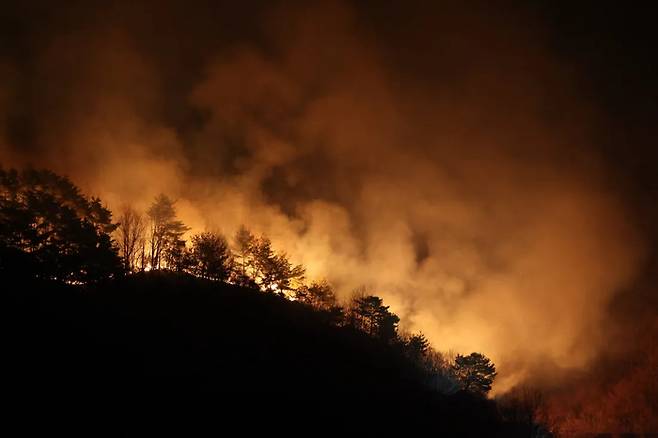 지난달 영남권을 덮친 산불로 경북 지역 산림 9ha가 피해를 입었으며, 이 일대가 주산지인 사과와 송이 등 주요 작물에도 큰 피해가 발생했다. [자료=연합뉴스]