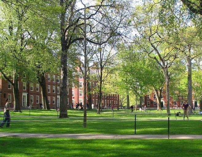 [서울=뉴시스] 눈덮힌 교정이 영화 '러브 스토리'의 촬영 무대이기도 했던 보스턴 캠브리지의 하버드대 캠퍼스의 잔디밭. 대학은 도널드 트럼프 2기 행정부와 문화 전쟁을 벌이고 있다. (출처: 위키피디아) 2025.04.19. *재판매 및 DB 금지