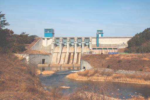 댐은 물만 막은&nbsp;것이 아니라 지천의 생태계까지 송두리째&nbsp;바꾸어 놓았다. 한국은 댐 왕국이다.&nbsp;