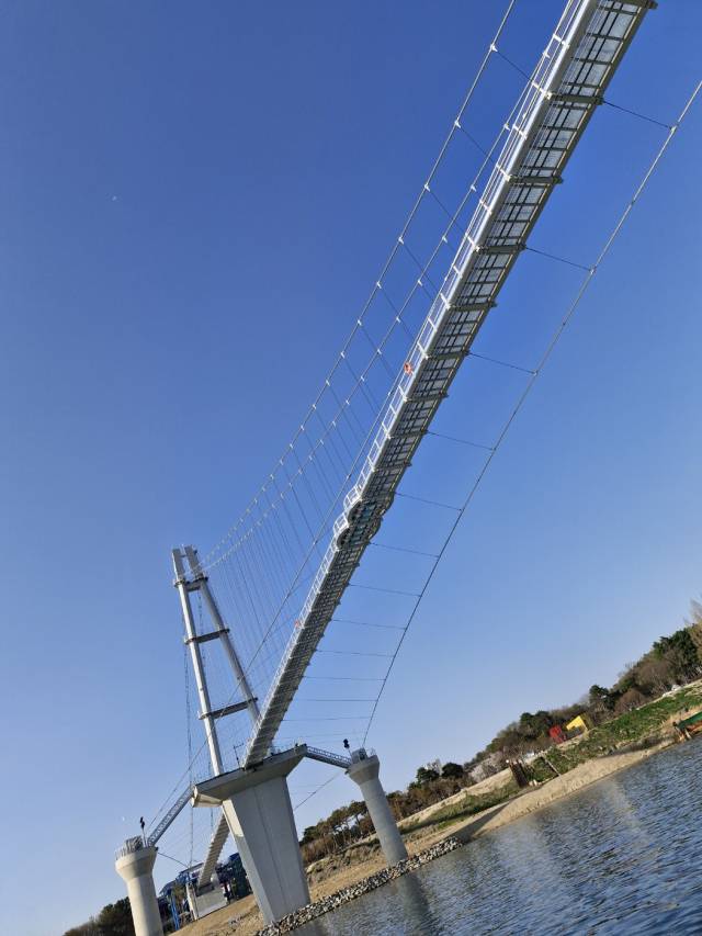 12일 오후 남한강 위에서 올려다본 출렁다리. 사진 = 손대선 기자
