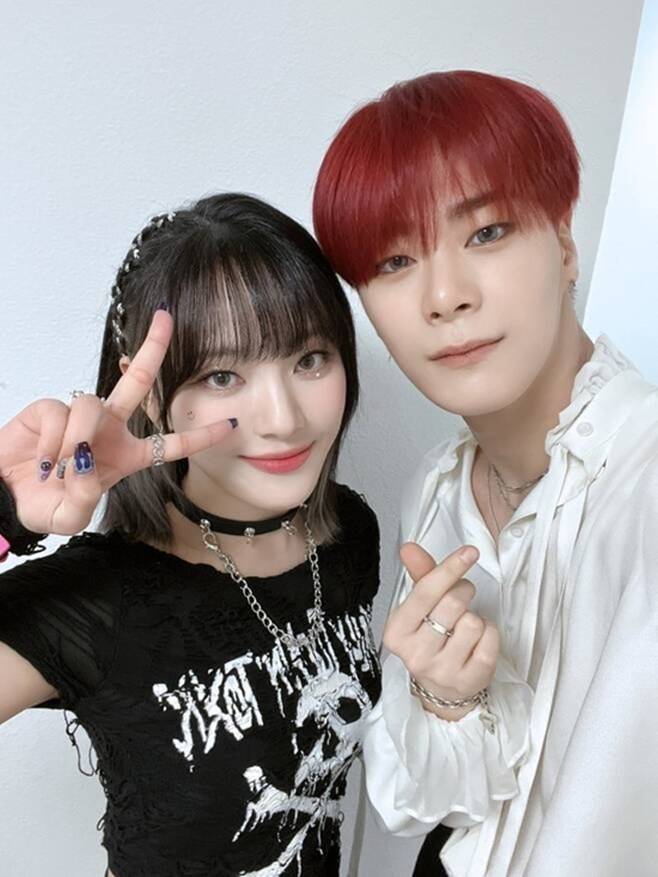 티브이데일리 포토