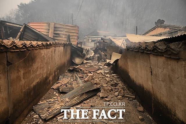 농림축산식품부는 지난 2022년 지자체에 가이드라인을 배포하면서 반려동물과 같이 대피할 수 있는 '동반 대피소'를 지정하라는 지침을 내렸다.다만 해당 사안들이 의무 사항이 아닐 뿐더러 지자체 별로 한계가 있어 동반 대피소 마련이 부진한 것으로 확인됐다. / 박헌우 기자