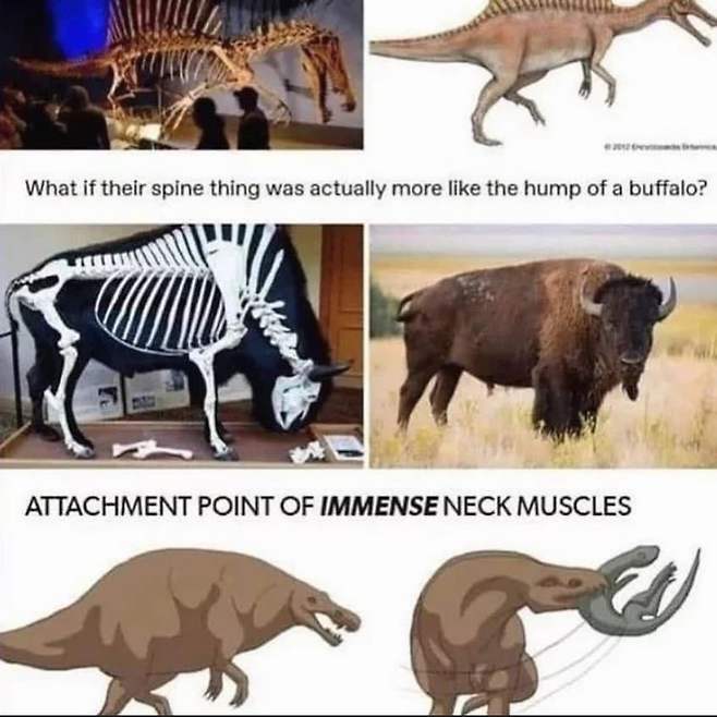 1745126097.jpg 스피노사우르스 복원 근황