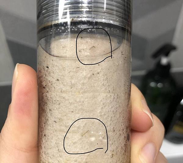 지난 2020년, 제주 수돗물에서 발견된 깔따구 유충./사진=연합뉴스