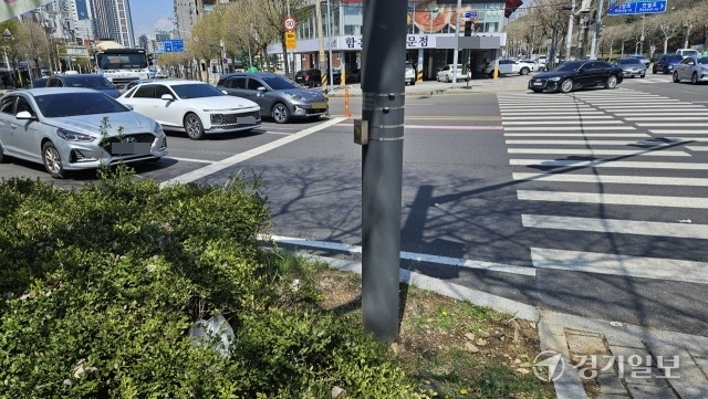 19일 오후 1시께 인천시 부평구 인천광명원 앞 도로. 시각장애인 음향신호기가 화단 방향으로 설치돼있다. 박기웅기자