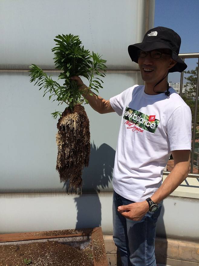 식물의 뿌리 부분을 보여주며 설명하고 있는 안재정 환경교사