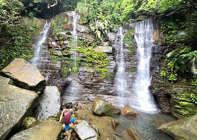 이리오모테 호시노호텔이 안내하는 생태탐방. 게다폭포