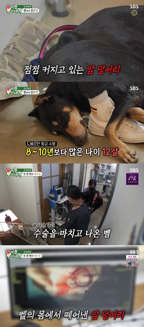 SBS ‘미운 우리 새끼’ 캡처