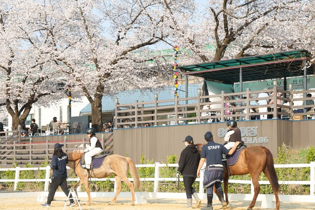 한국마사회