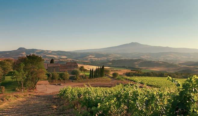테누타 디 트리노로 와이너리 전경. 홈페이지