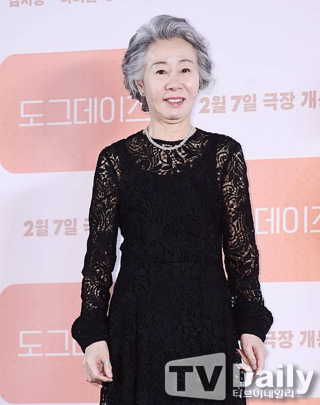 티브이데일리 포토