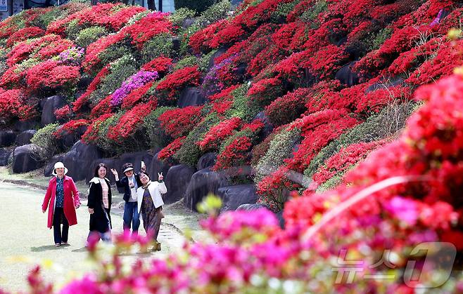 산책 나온 시민들이 철쭉을 배경으로 사진을 찍고 있다. (자료사진) ⓒ News1 박지현 기자