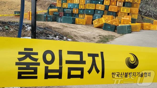 31일 경북 의성군 안계면에 있는 한 자두 과수원 농장에 산림 당국의 출입 통제 라인이 설치돼 있다. 의성 산불이 처음 시작된 곳은 성묘객 실화로 추정되는 안평면 등 두 곳으로 특정됐다. 2025.3.31/뉴스1 ⓒ News1 이성덕 기자