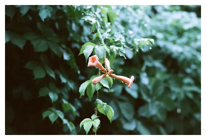 7ded8076b7806ef33eef84e258c6213f5b465d0879996155cab57df1f388