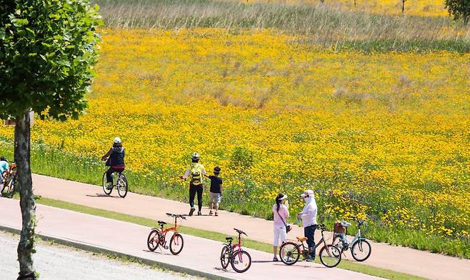 최근 경북 구미시 양호동 낙동강체육공원에서 방문객들이 꽃길 사이로 난 자전거길을 달리고 있다. 구미시 제공