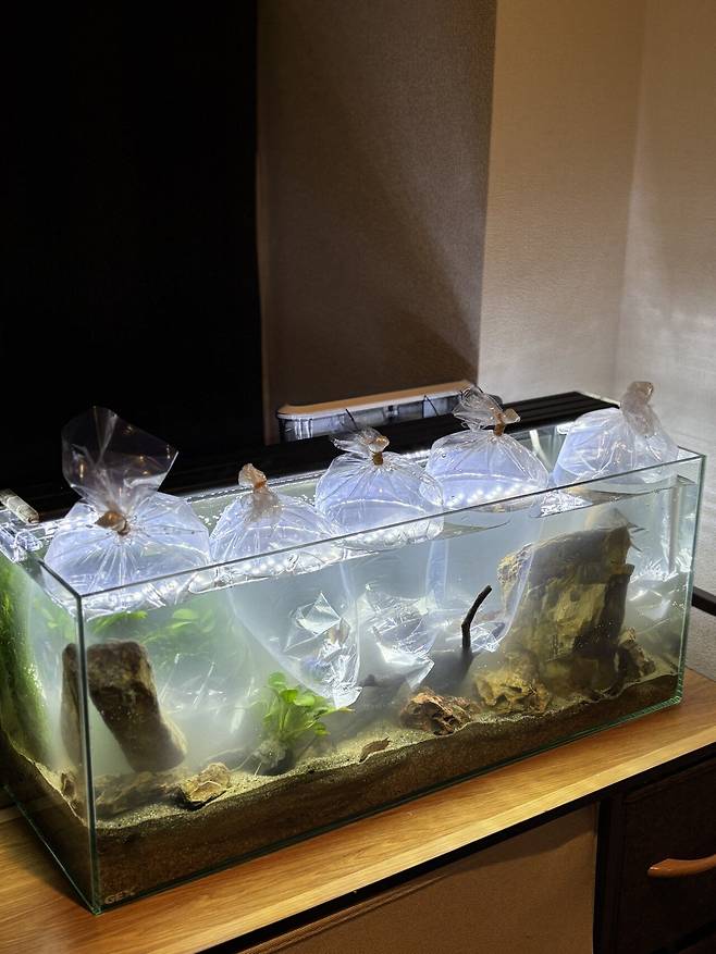 IMG_6083.jpeg 일본유학생 드림카 렌트 해서 2박3일 지방 소도시 나가노 여행기